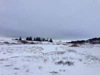 Thingvellir Farm is a relatively modern building in classic Icelandic form, which now serves as a country residence for the President of Iceland